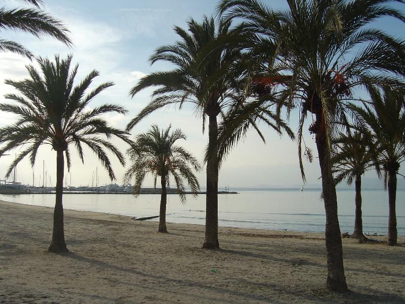 Hispania