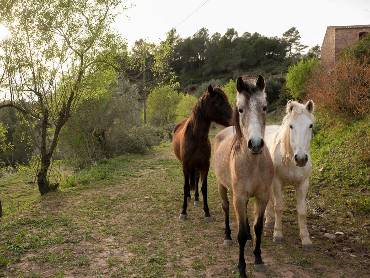 Guest house Masia Casajoana Rural Rellinars