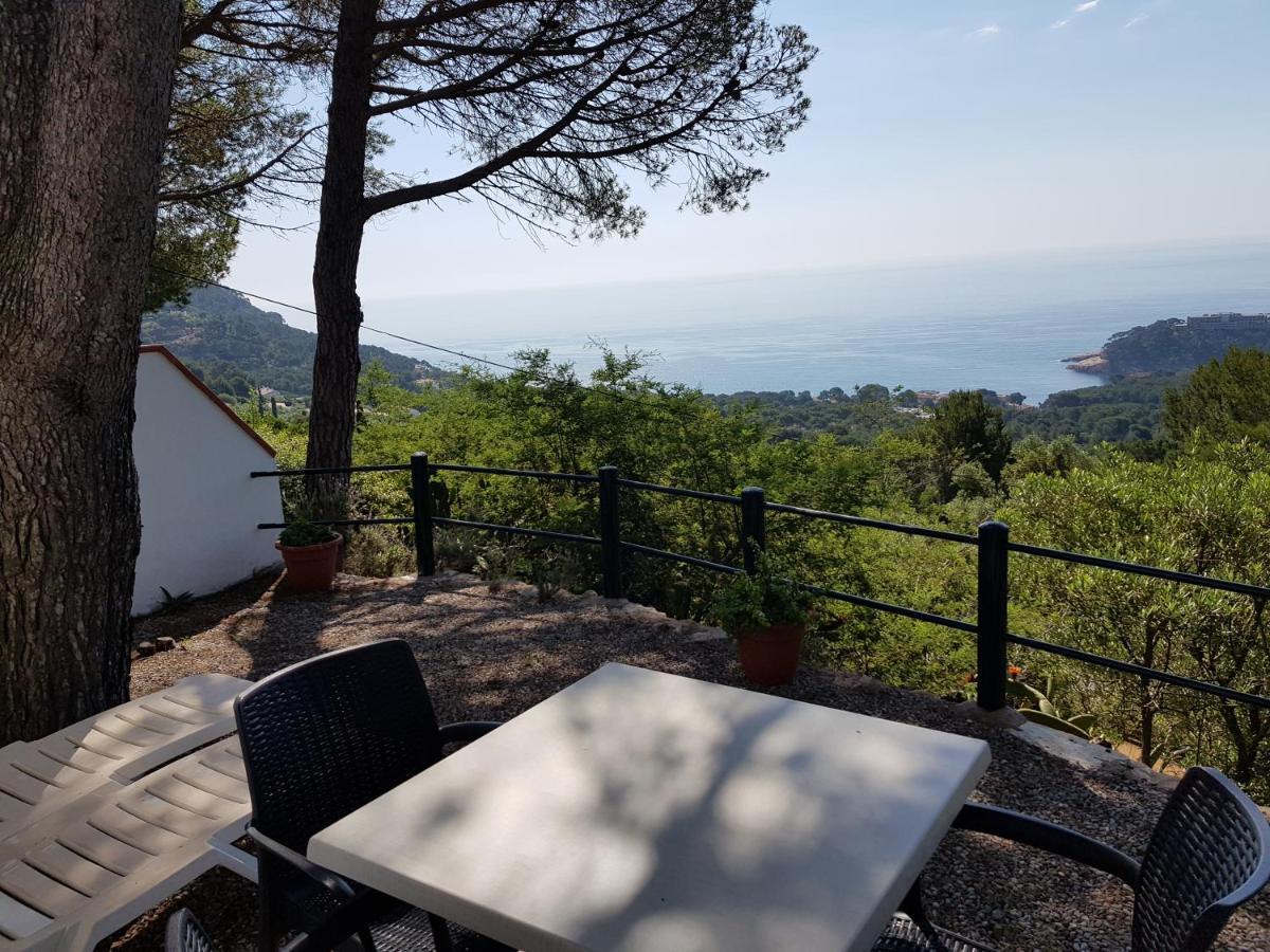 Hotel Sa Barraca - Adults Only