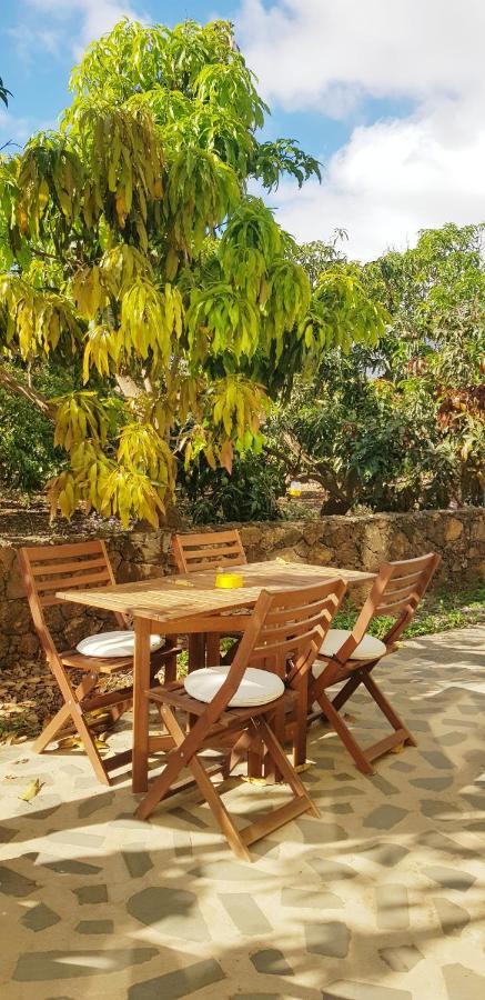 On An Organic Farm By The Coast, Holiday home