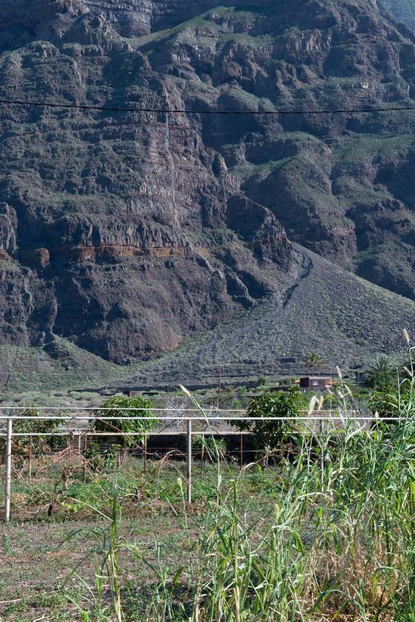Amazing Coast House On A Tranquil Organic Farm Сasa de vacaciones La Frontera