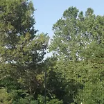 Molí Nou de Calabuig-Costa Brava