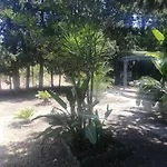 Casa de huéspedes