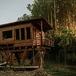 Bonita Cabana De Los Arboles En La Rioja , Durmiendo Entre Arboles