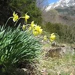 Refugi Casa Tacita
