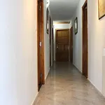 La Puchera