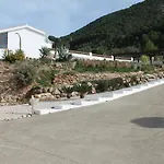 Casa Arts
