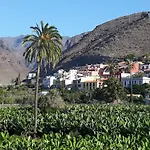 Los Olivos