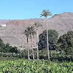 Los Olivos