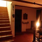 La Morada Del Druida