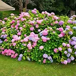 B&B Casa Rural Pikukoborda (Adults Only)