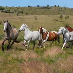 Casa Rural Cruces De Caminos