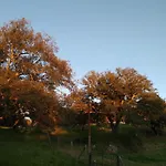 Cercado Forero