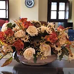 La Casa De Tita Elvira 4