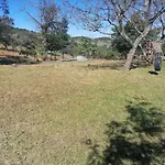 Cortijo El Alamo