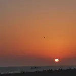 Entre Pinos Y Playa