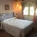 Cortijo Álamo 2