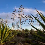 La Palmera. El amanecer en el Parque Natural