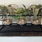 Casa El Pinar