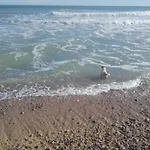 Atico del Peñon