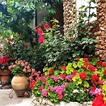 Apartamentos El Parral