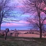 Apartamento Ribera Del Duero Reserva