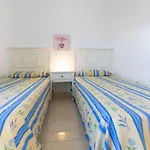 Apartamentos Flamingo