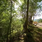 Casa fuente de la Juventud cangas