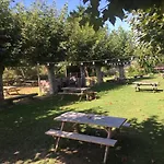 H.A.N.D Surf Hostel