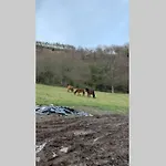 Casa Rural en Valadouro Serra do Xistral Lugo En medio de la Naturaleza