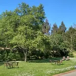 El Cuadron