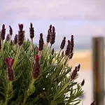 Tarifa Cozy House - Penthouse Humero 270º