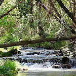Encinar De Aguas Blancas