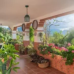Los Cactus