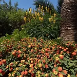 Costabella Marbella 1 Min Walking From The Beach