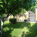 Sol De Membrillo