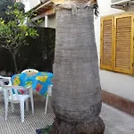 La Casa De La Palmera