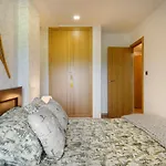Peña Sabocos II Apartamento Turístico Panticosa