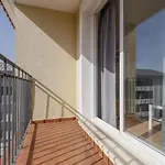 Fadesa Algaba 2 B