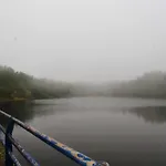 Jara Y Cantueso
