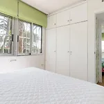 Palm-Beach