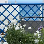 Apartamentos Vela Blanca