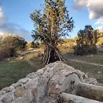 Acero Y Piedra Apartamentos Con Jardin Privado