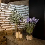 Casa Pitaxan