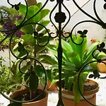 LA FUENTE SUITE A Casas Vejer Debra