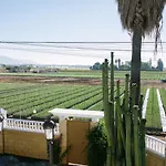 Casa rural El Olivo de Córdoba