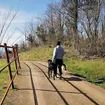 Mas Els Plans La casa pensada para perros que viajan con sus humanos
