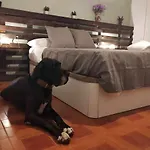 Mas Els Plans La casa pensada para perros que viajan con sus humanos