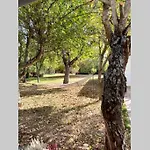 Casa rural: Villa Marías
