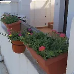 Condado De Alhama, Naranjos 8